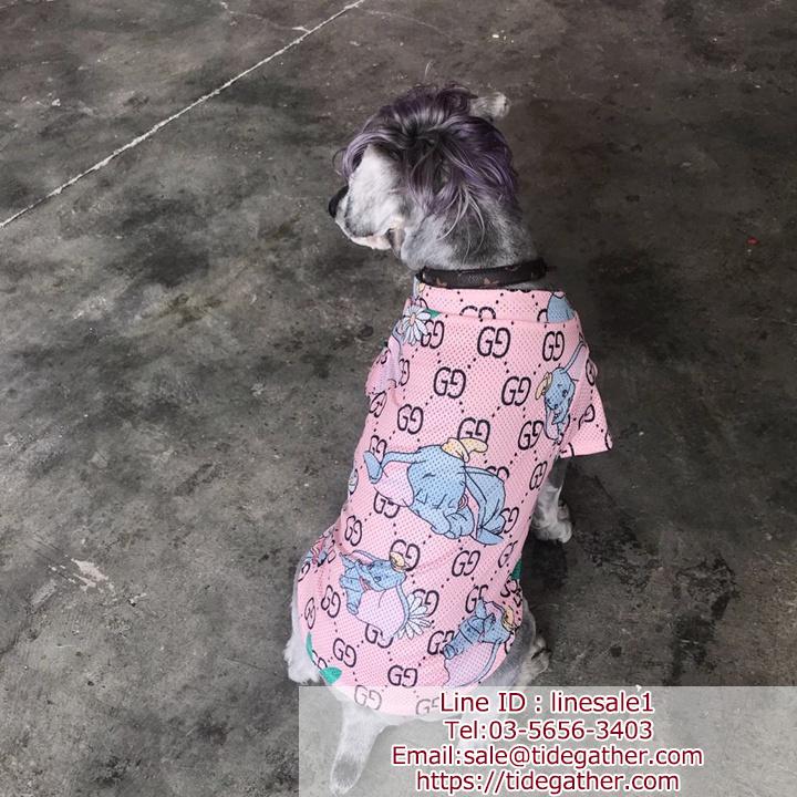 チャンピオン 犬の服 猫の服