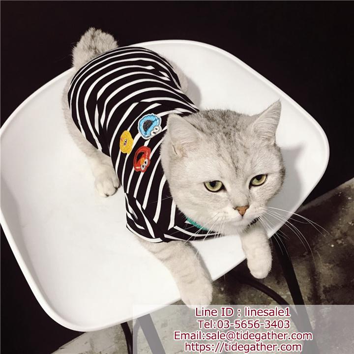 猫洋服 縞柄 ストラップ
